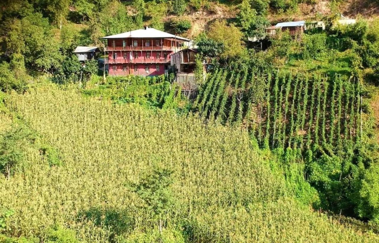 Family Winery And Guesthouse "Kejeradzeebi" Shuakhevi Εξωτερικό φωτογραφία