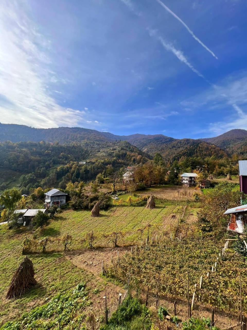 Family Winery And Guesthouse "Kejeradzeebi" Shuakhevi Εξωτερικό φωτογραφία